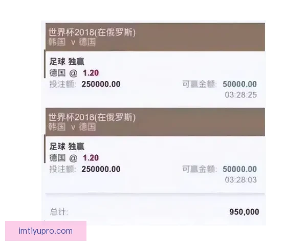 全球球迷热捧世界杯竞猜网站玩法攻略与赛事预测交流平台热门指南