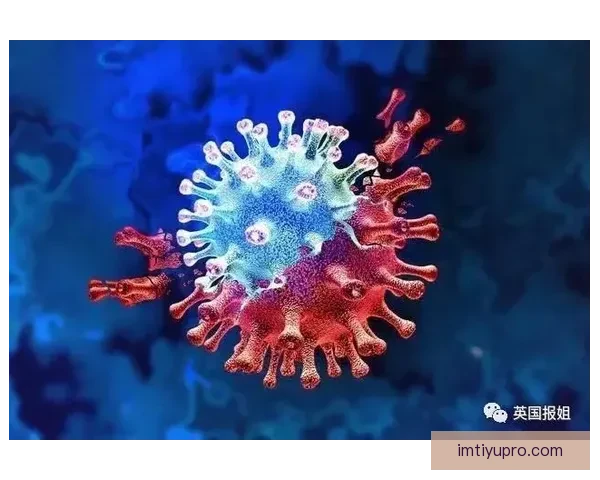 世界杯竞猜预测：全面解析最可能的冠军与晋级走势分析